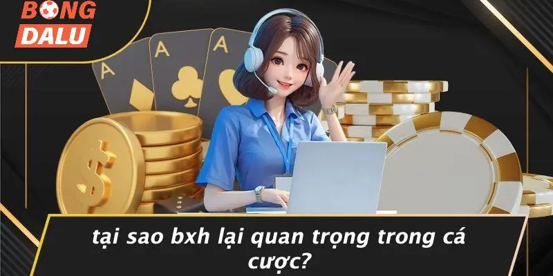 Tại Sao BXH Lại Quan Trọng Trong Cá Cược?