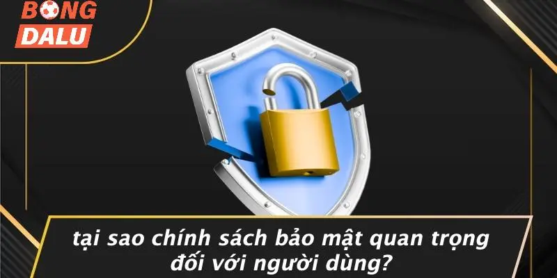 Tại Sao Chính Sách Bảo Mật Quan Trọng Đối Với Người Dùng?