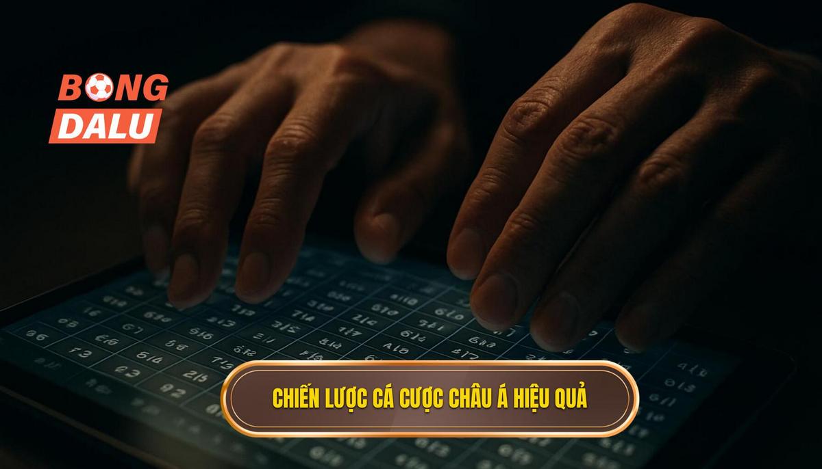 Chiến lược đánh kèo châu á dựa trên phân tích dữ liệu thực tế