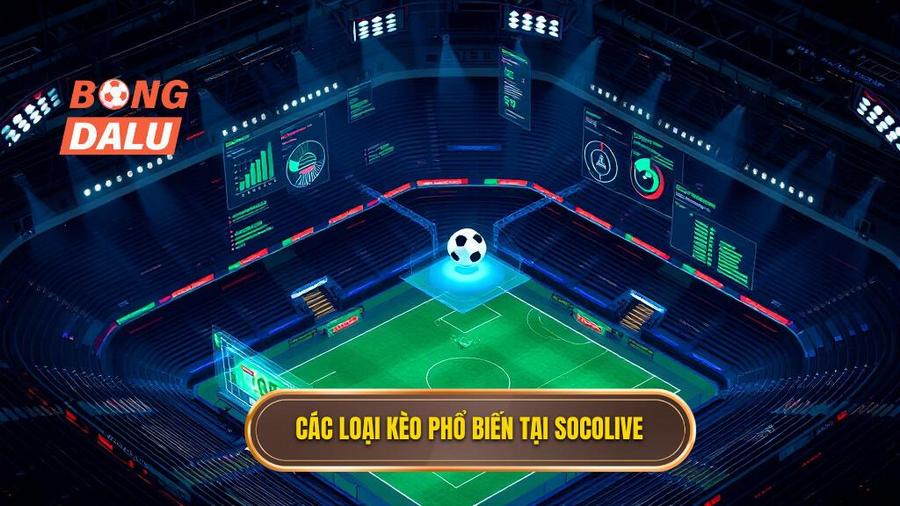 2. Các loại kèo phổ biến tại Socolive