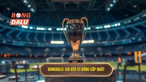 Soi kèo các trận đấu cúp C1 châu Âu 2025: Nhận định chính xác